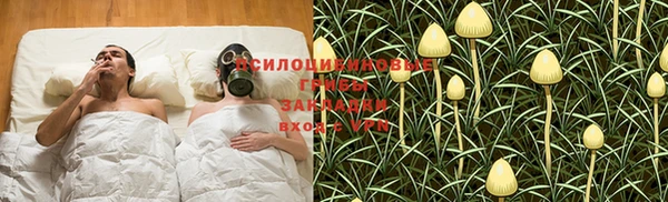 apvp Михайловск