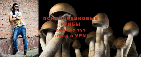 прущий лед Надым