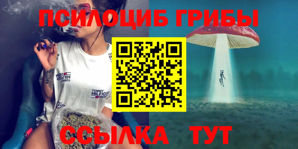Псилоцибиновые грибы Psilocybe Иркутск
