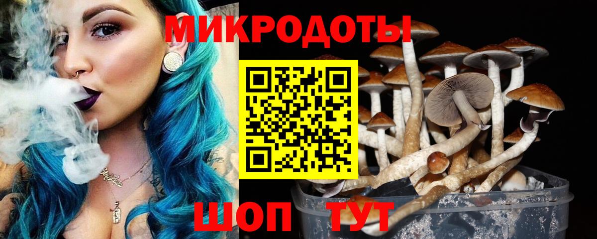 Псилоцибиновые грибы GOLDEN TEACHER Иркутск