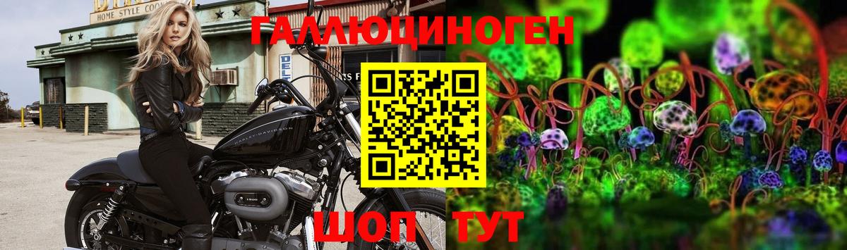 Псилоцибиновые грибы Cubensis  Вход с VPN  Псилоцибиновые грибы Magic Shrooms  Иркутск 
