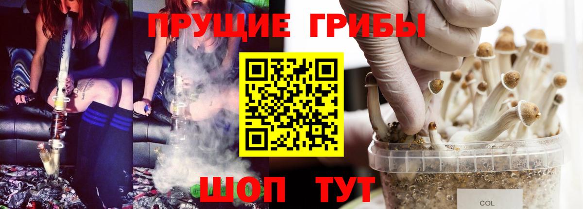 Галлюциногенные грибы мицелий  Иркутск  Псилоцибиновые грибы прущие грибы 